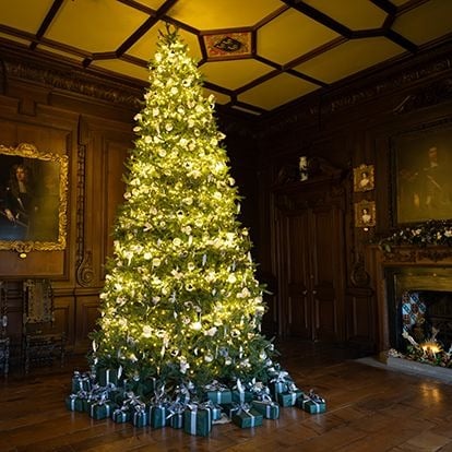 Sub-Category Giant Commercial trees for business