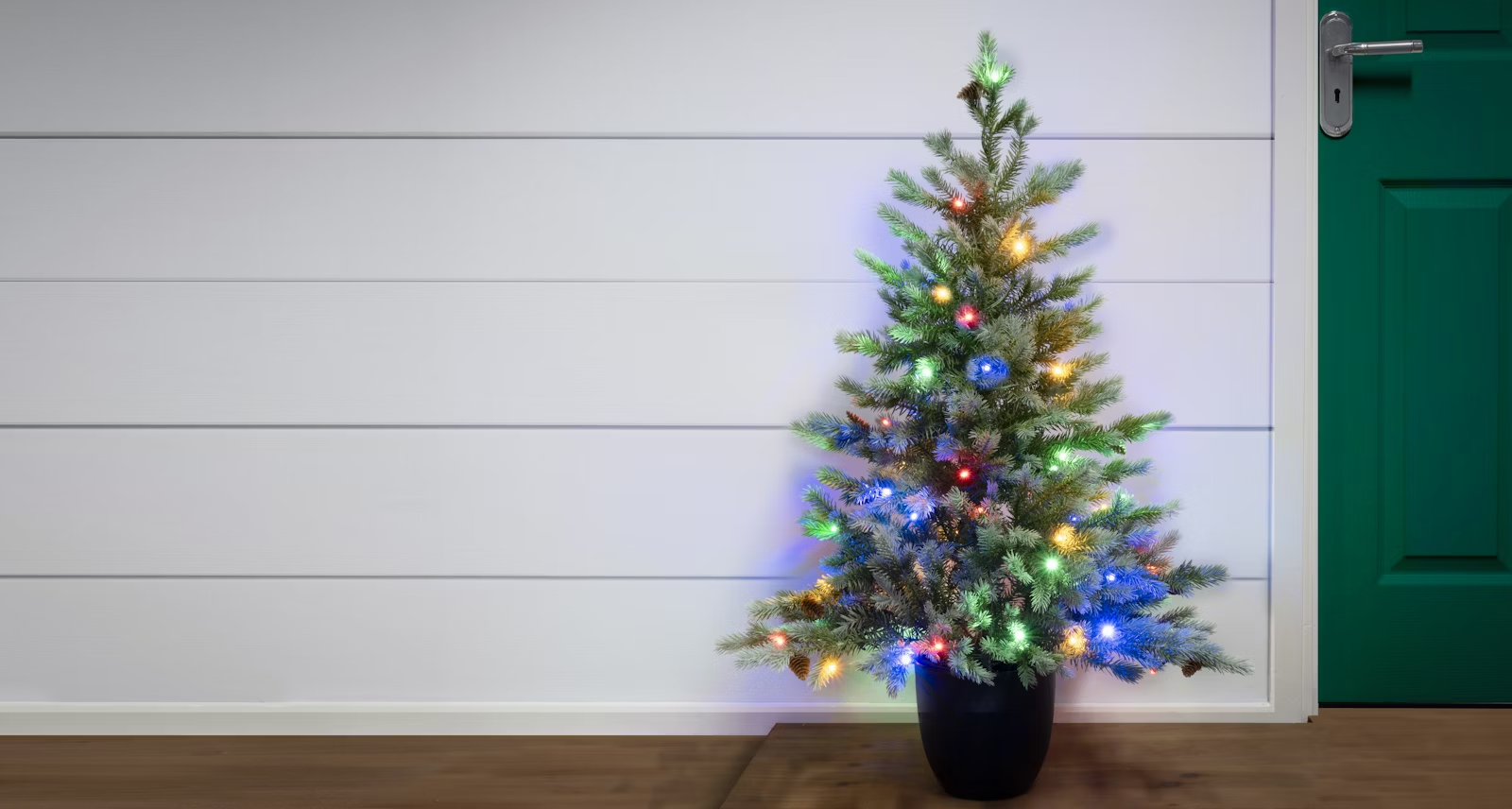 Outdoor Christmas Trees