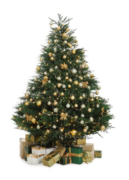 The 5ft Pre-lit Cairngorm Pine Potted Tree (outdoor)