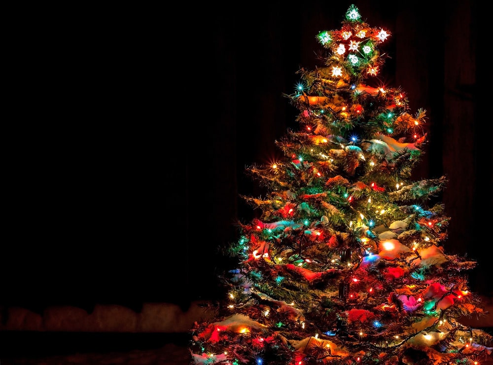 When should you put up your Christmas tree? An expert guide