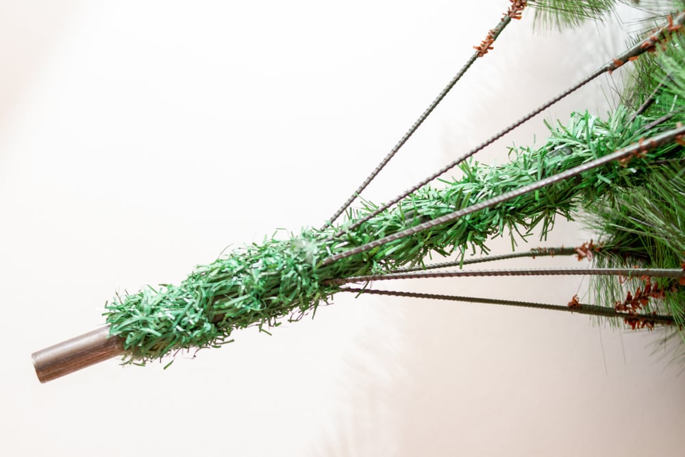 Where Can I See Christmas Tree World Trees in Person?